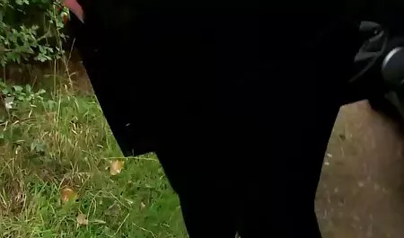 Perlahan-lahan tato Angelina Brill Striptis membuat video sex pengantin anda CU