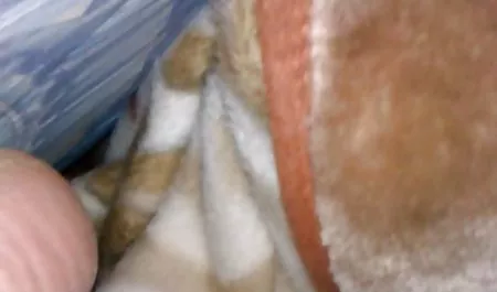 Remaja anal bokep pengantin malam pertama casting seksi rambut pirang cewek seksi mimpi