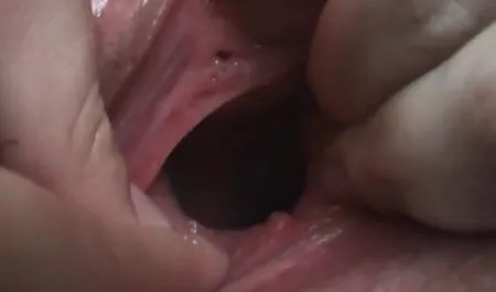 ketika pus kucing mesum terbaru smp