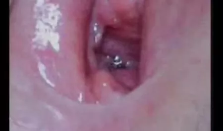 Teori Big Bust 16 video mesum terbaru
