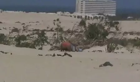 Memasukkan faring VIM pelacur bokep pembantu baru